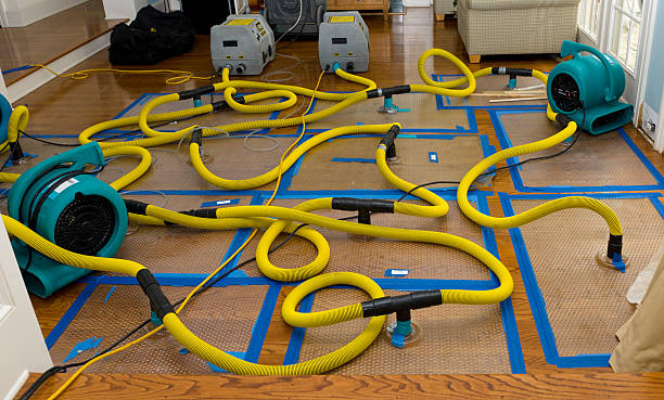 Professional Water Damage Repair technician working in Earling, IA